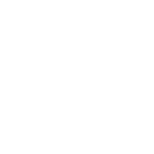 Experiences and tours.png